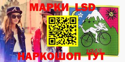 шишки Краснодар