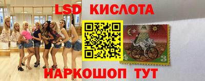 шишки Краснодар