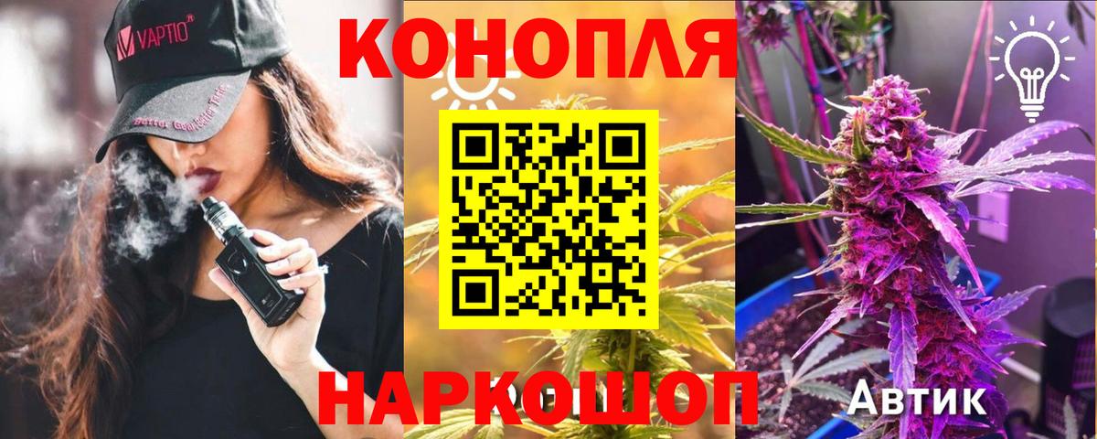 Конопля план Зеленогорск